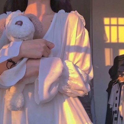 公主复仇者2：战士再起